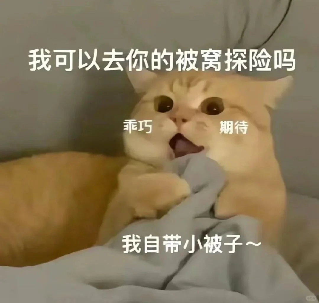 ????? ? 可可爱爱猫猫表情包