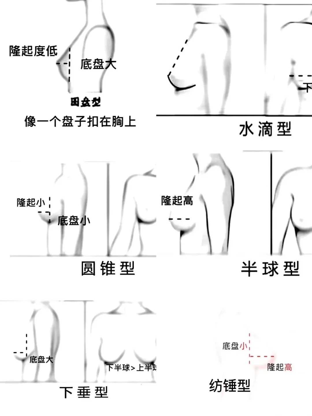 停止摆烂！花1分钟学习选内衣的终极大法！！！