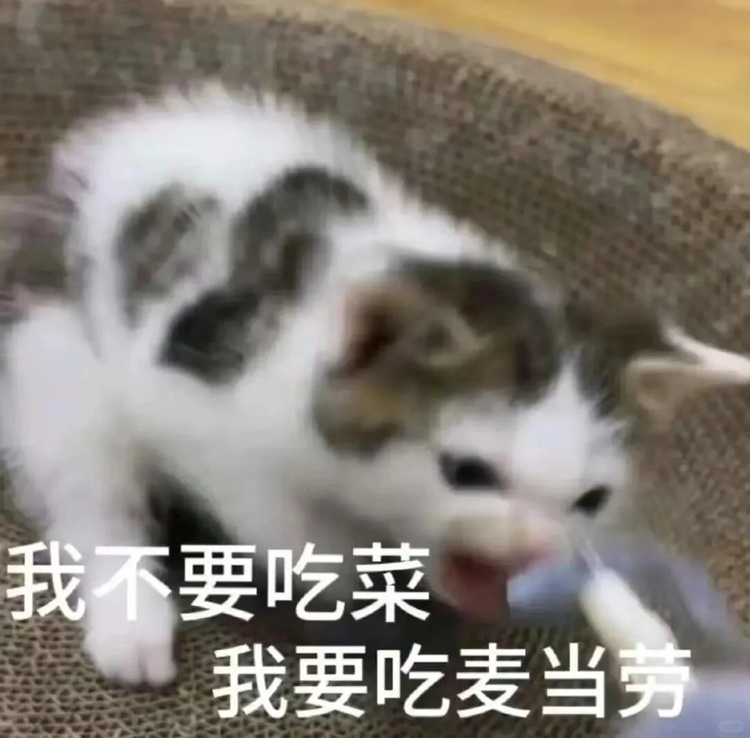 ????? ? 可可爱爱猫猫表情包