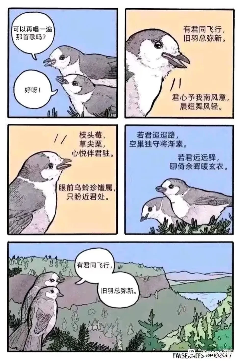 很可爱很温馨的小鸟meme超全合集