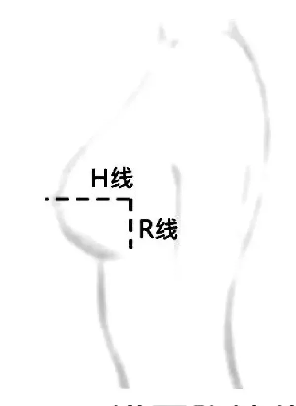 停止摆烂！花1分钟学习选内衣的终极大法！！！