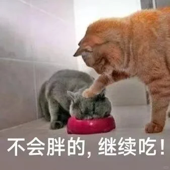 ????? ? 可可爱爱猫猫表情包