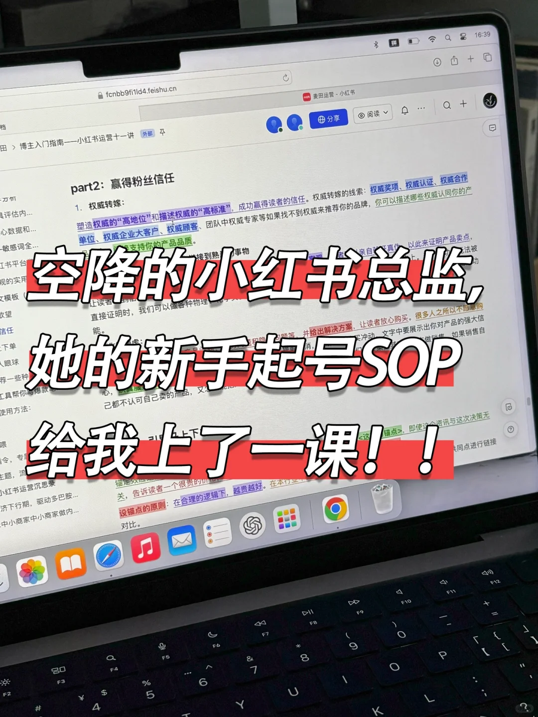 空降的小红书总监，她的起号SOP堪称教科书！