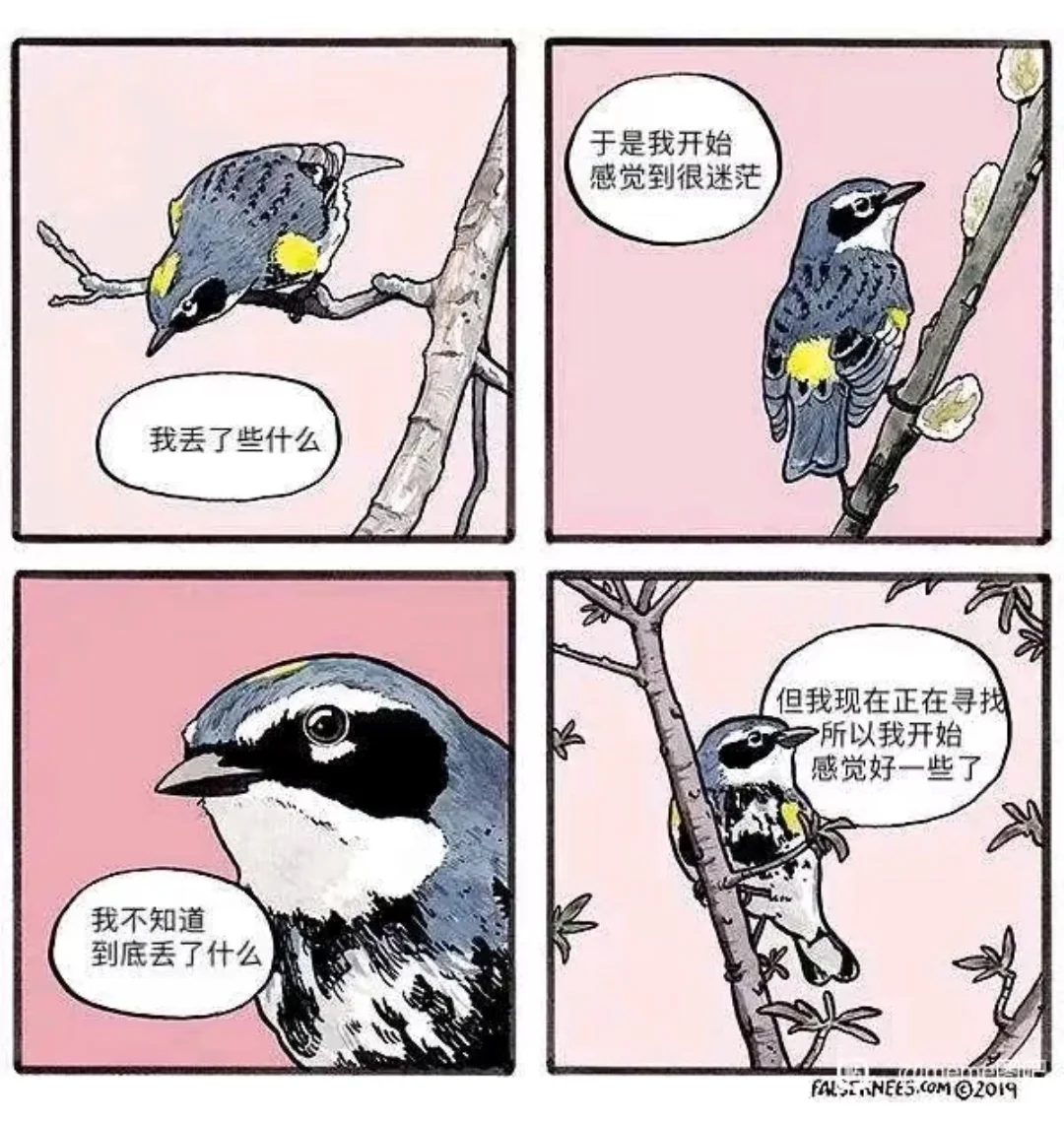 很可爱很温馨的小鸟meme超全合集