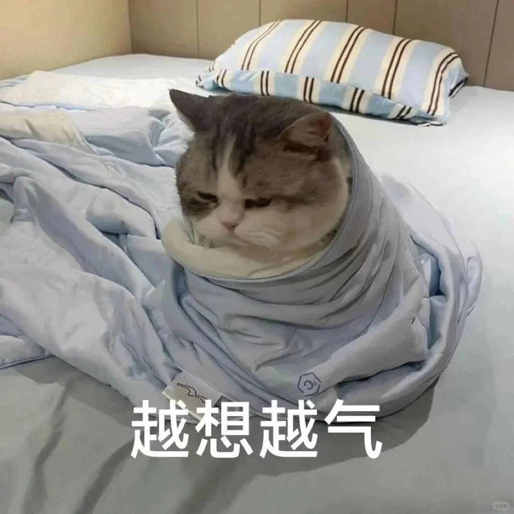 ????? ? 可可爱爱猫猫表情包