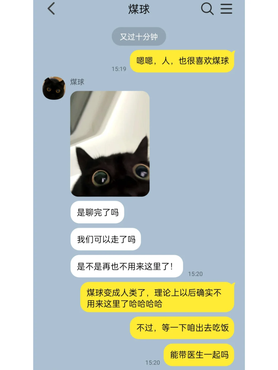 我家猫说它变成人了6