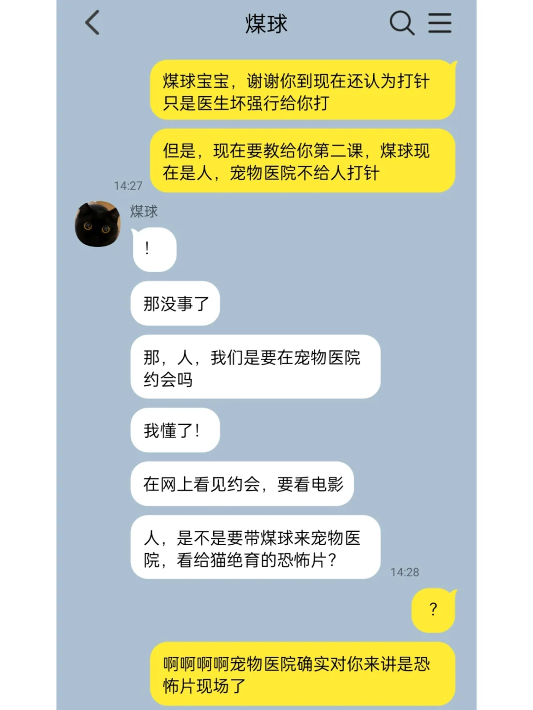 我家猫说它变成人了6