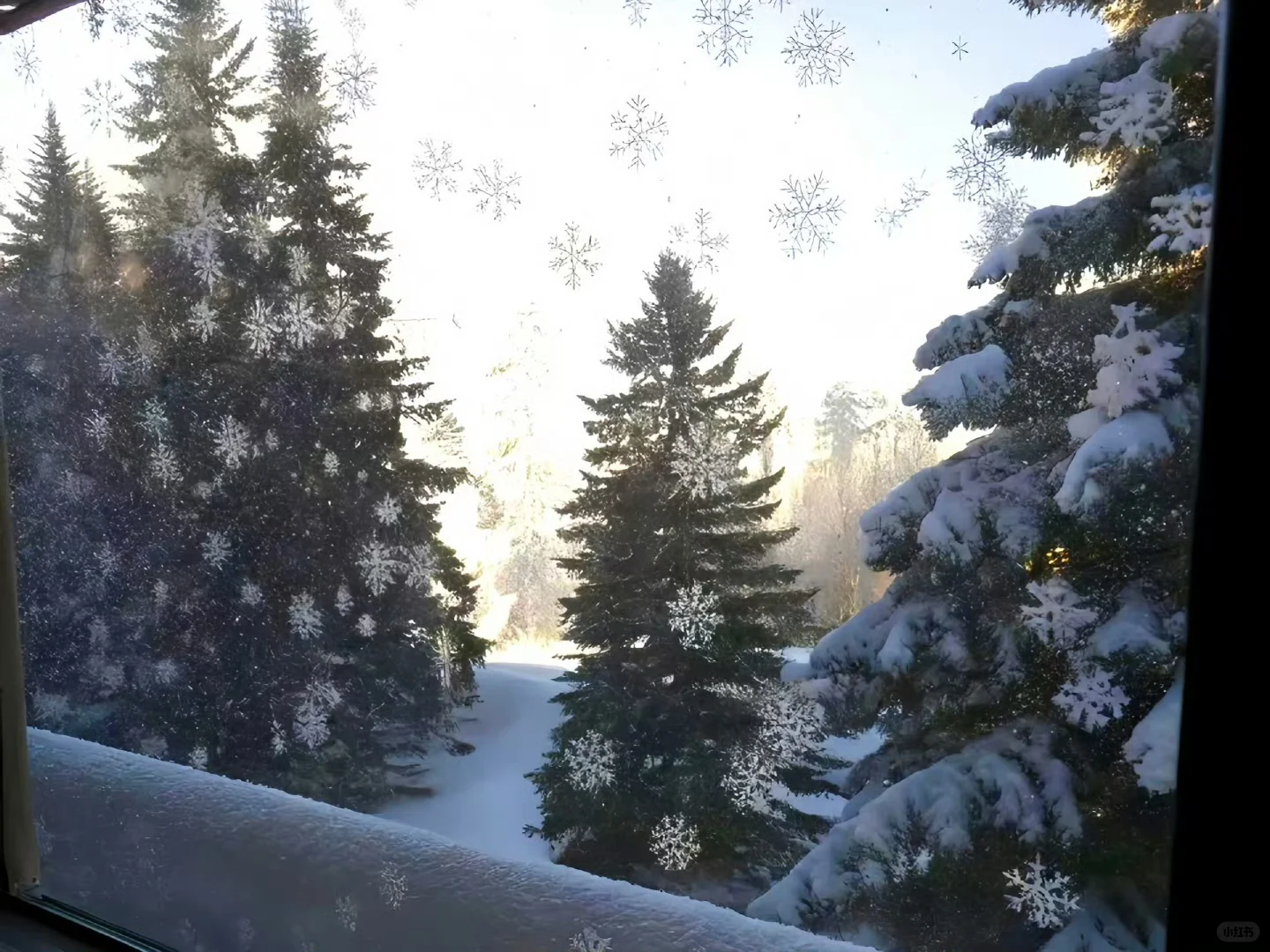 这组iPad电脑壁纸好喜欢❄️