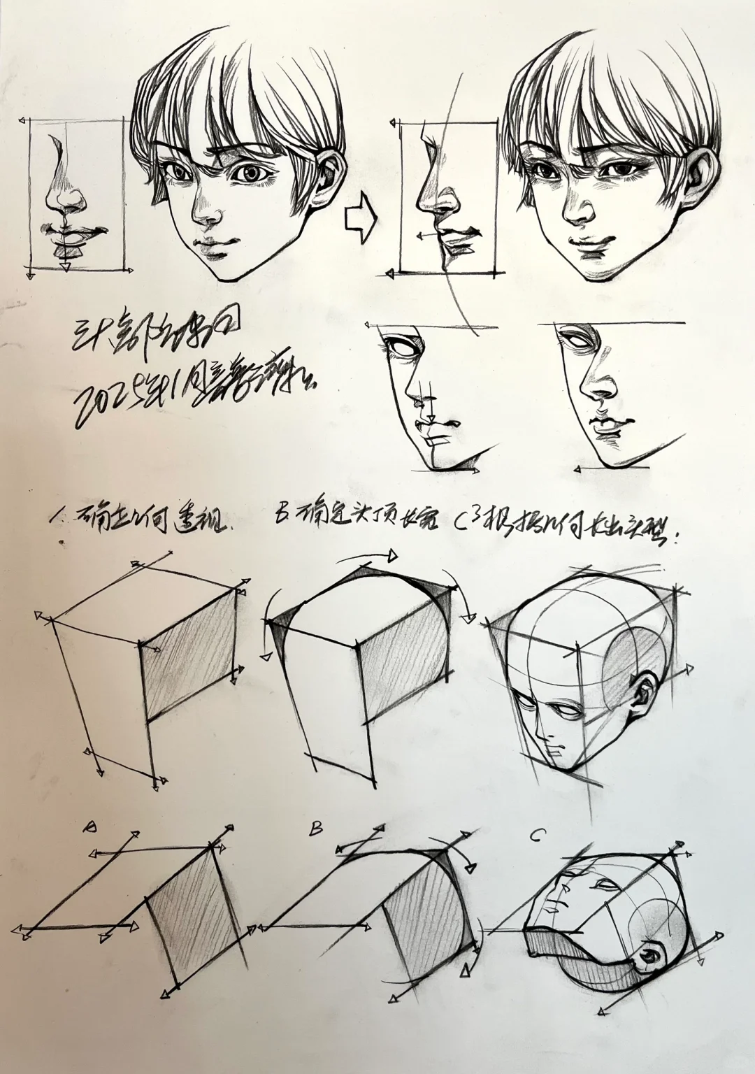 透视与头部的综合训练