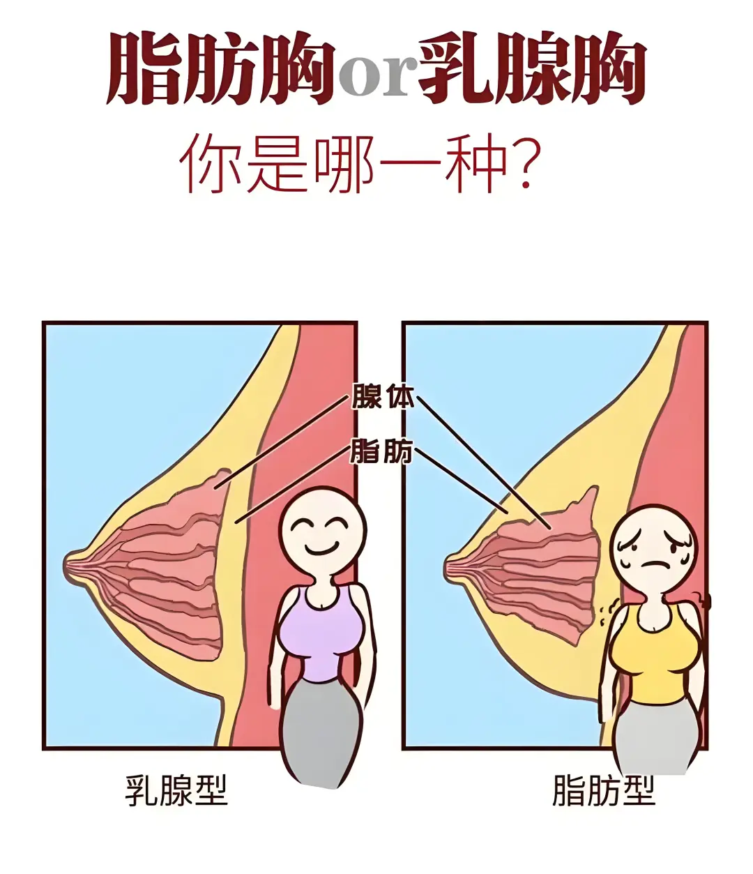 脂肪胸或乳腺胸如何区别