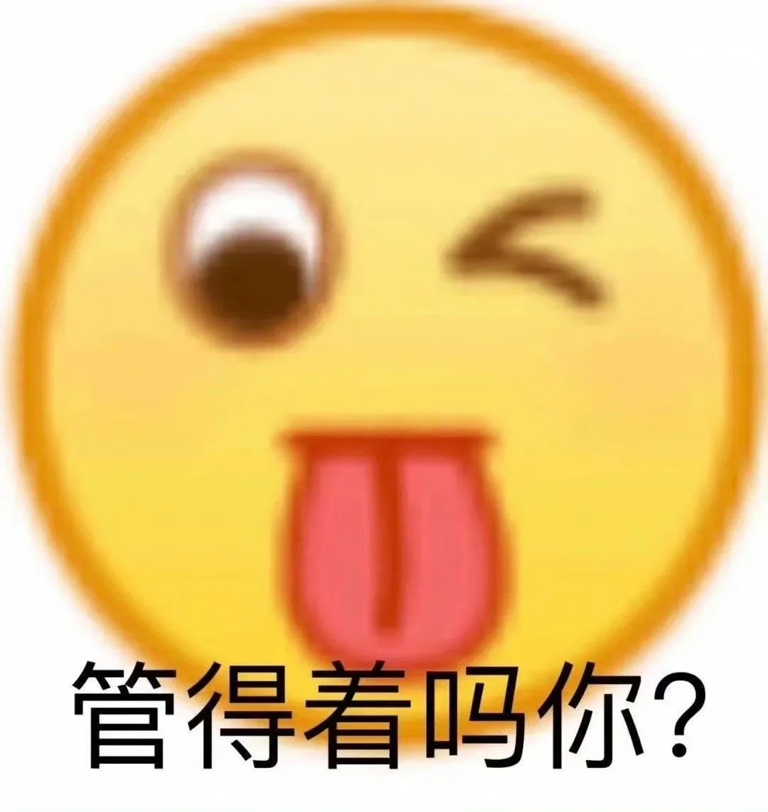 每日表情包分享｜存表情包的快乐时刻