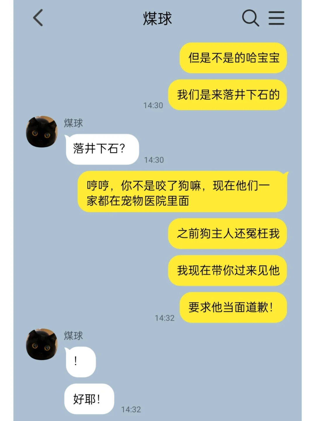 我家猫说它变成人了6