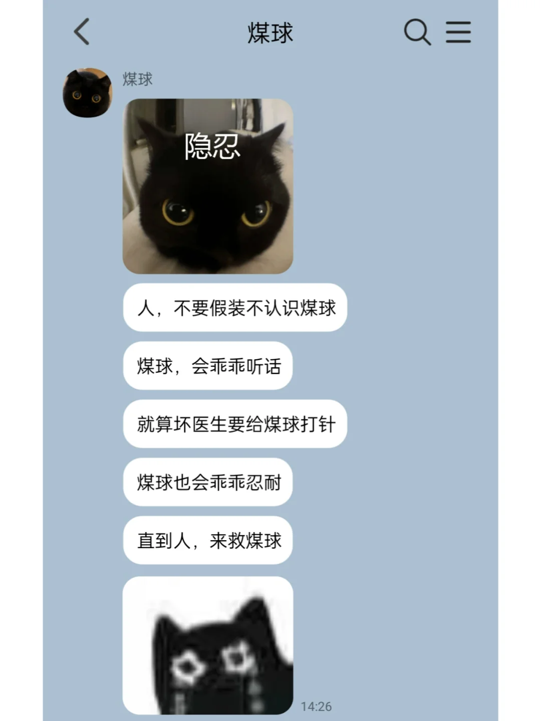 我家猫说它变成人了6