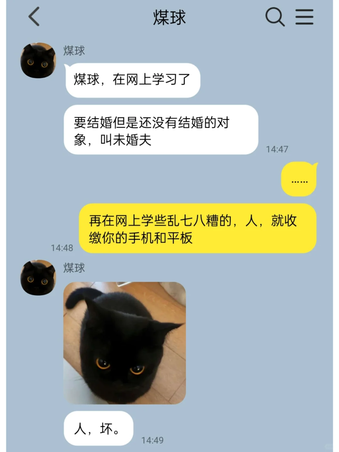 我家猫说它变成人了6