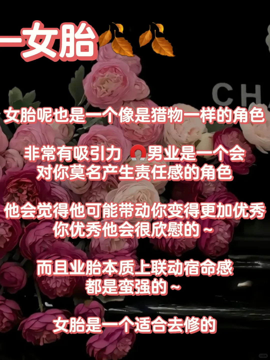 充满魅惑的角色🌷