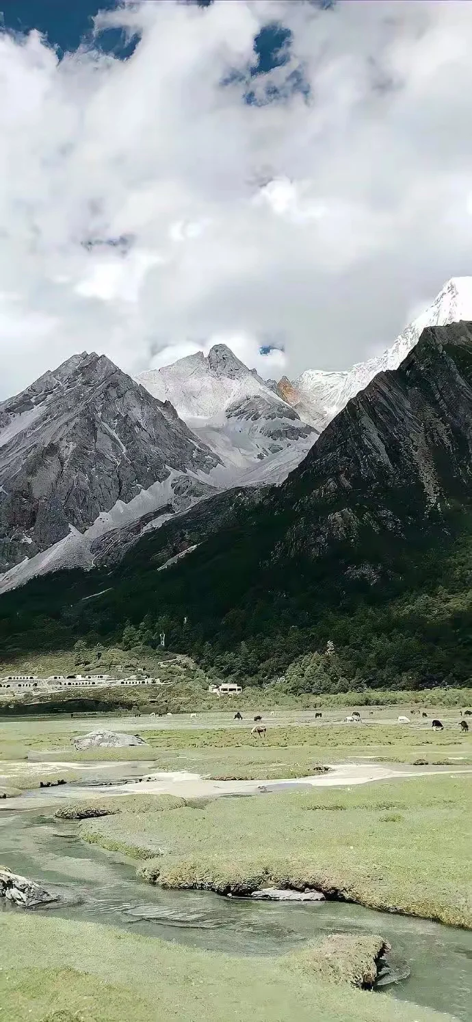 冷淡风景壁纸