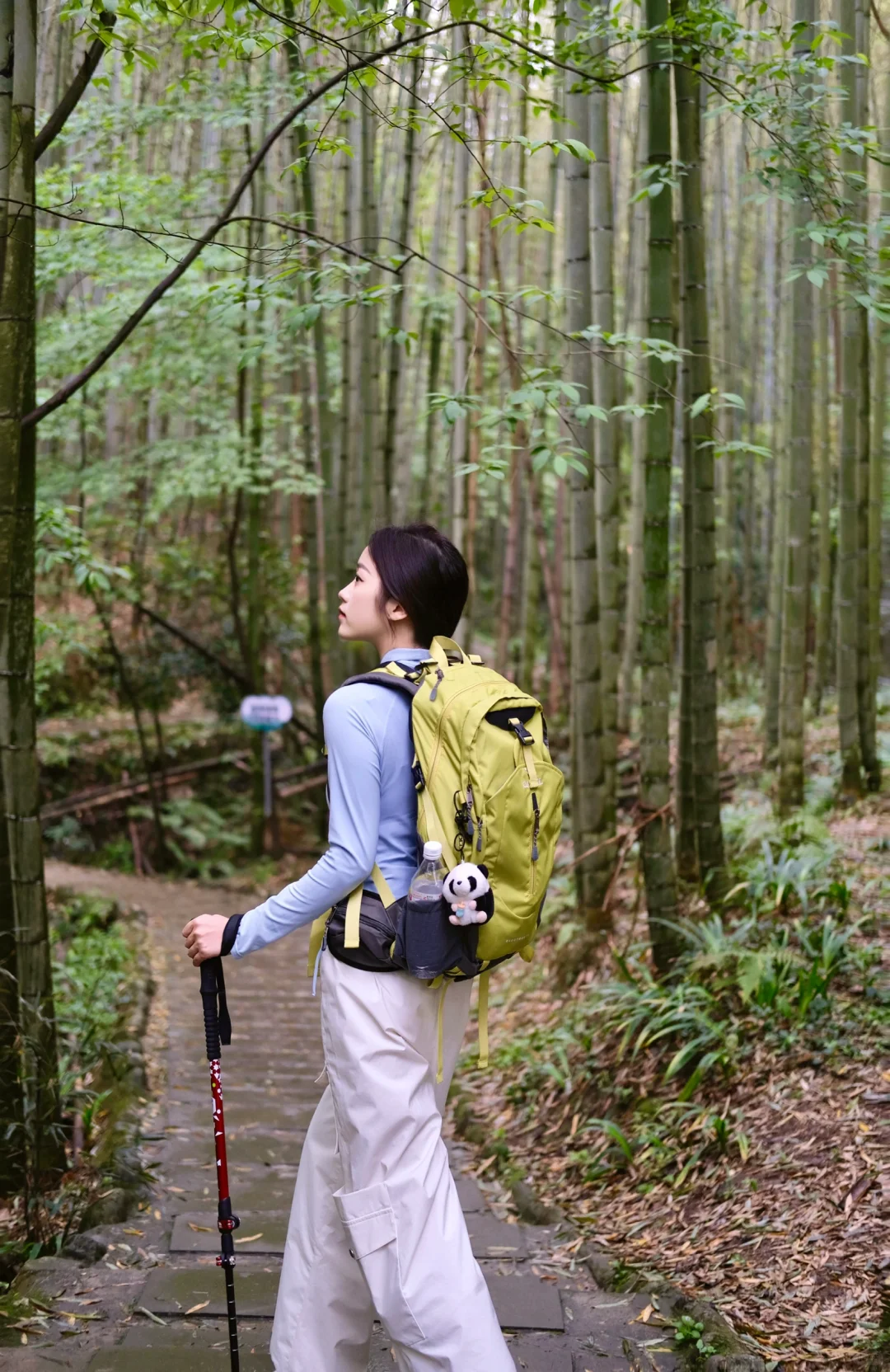 没人疼就去爬山！因为爬完浑身疼