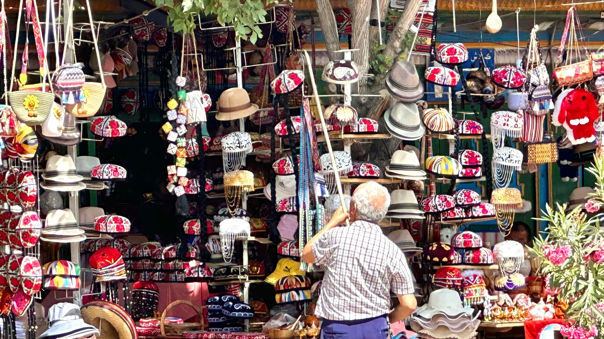 裸辞旅行日记| 那些我在旅行时认识的朋友