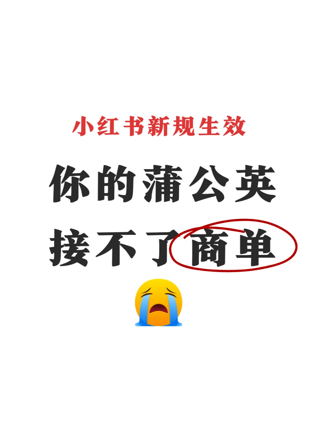 蒲公英新规生效，小心你再也接不到商单了！