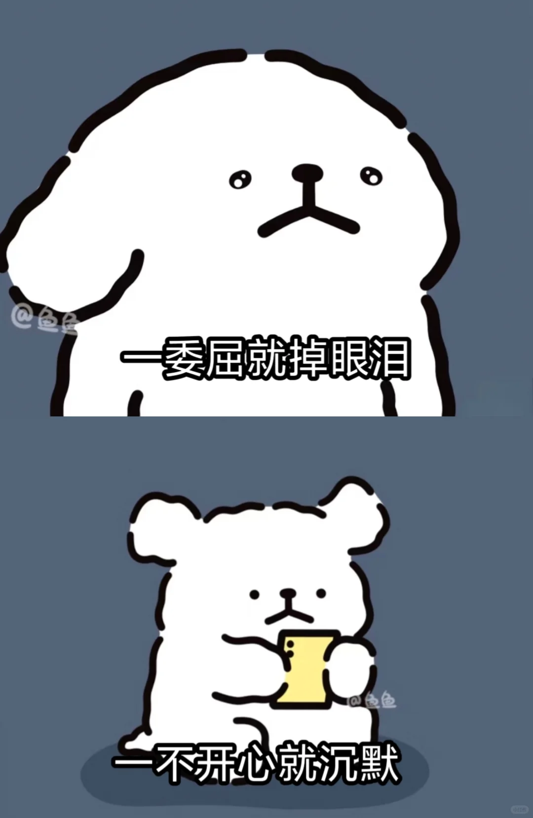 最傻的女生就是：