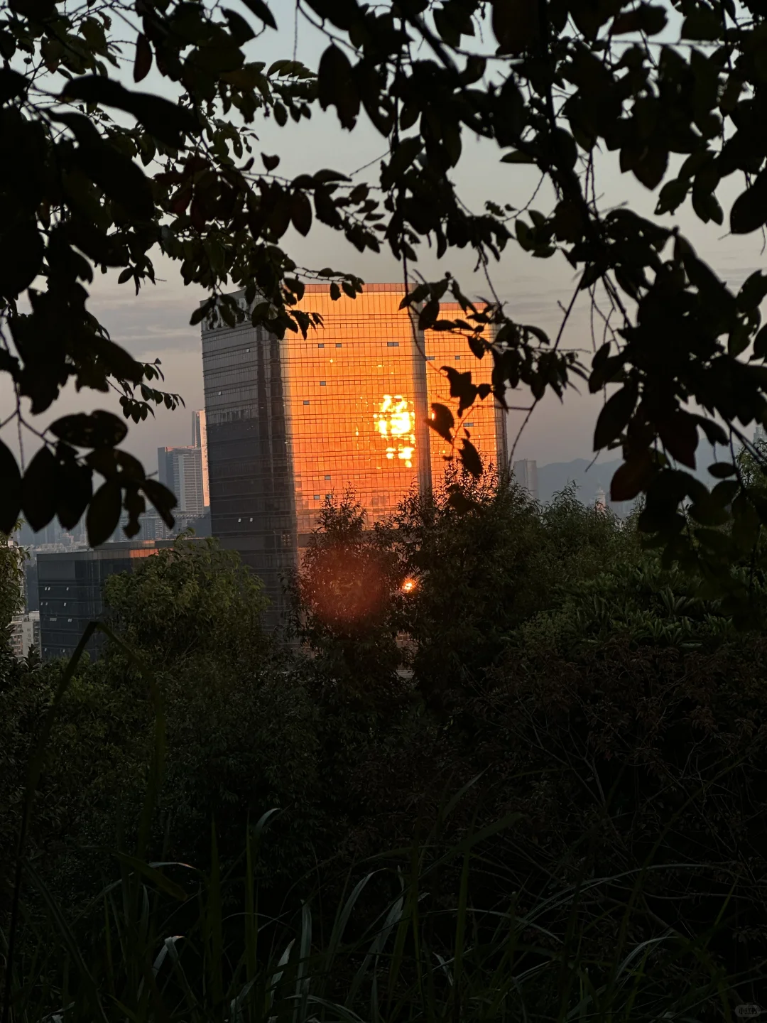 早说你喜欢户外的，我就不装了