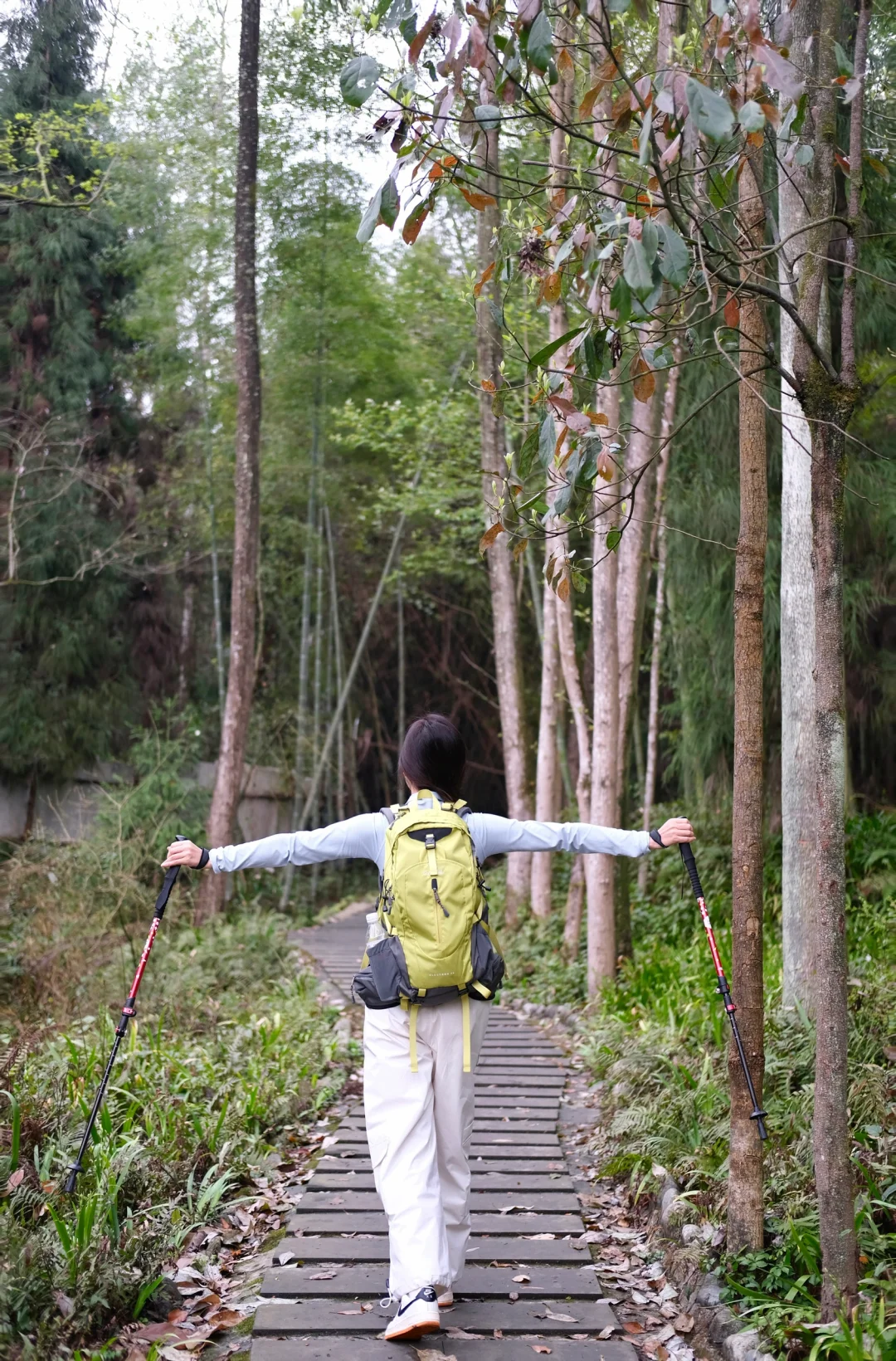 没人疼就去爬山！因为爬完浑身疼