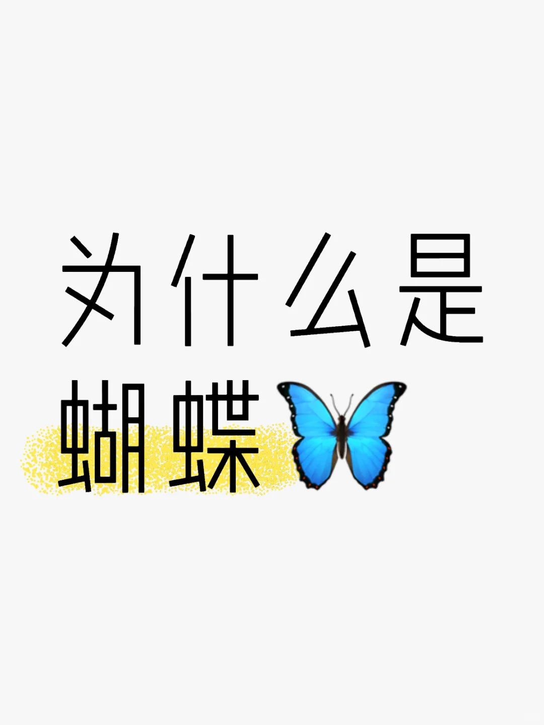 为什么蝴蝶往往代表灵性🦋