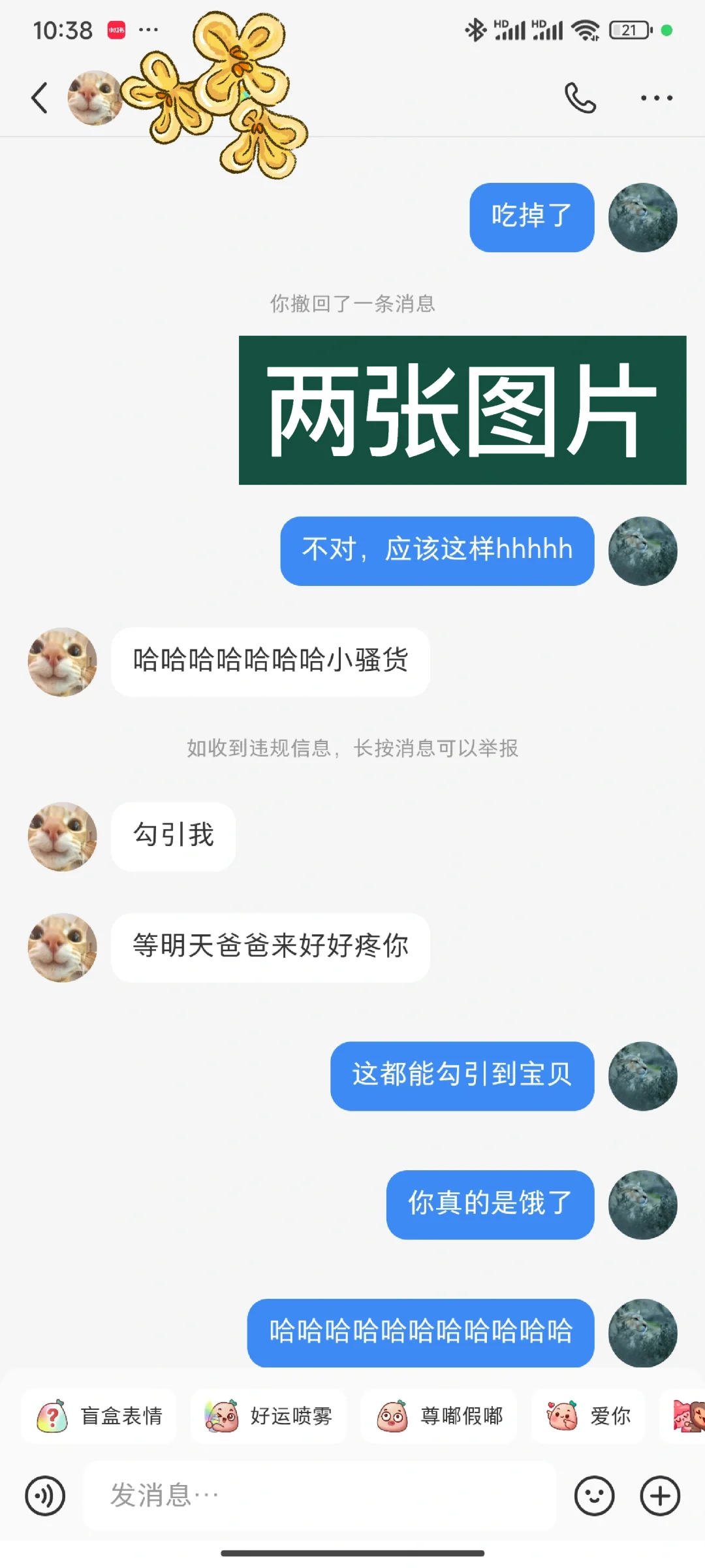 两张子图片 让npy原形毕露