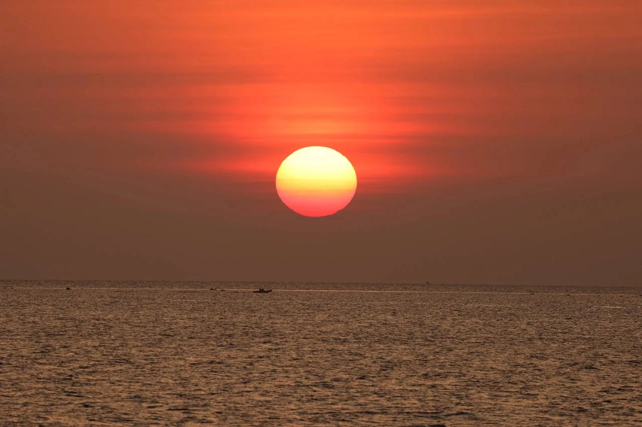 浙江宣传：你一定走了很远的路