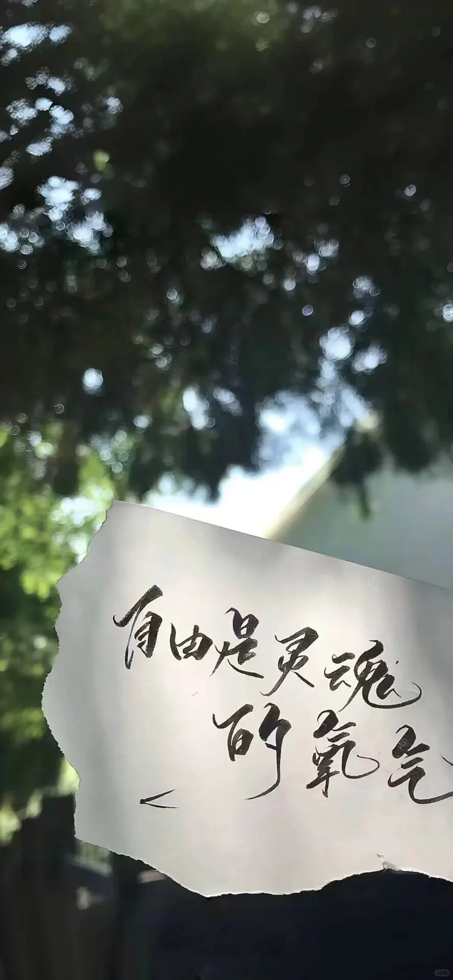 小众高级壁纸｜被夸爆的壁纸在这里