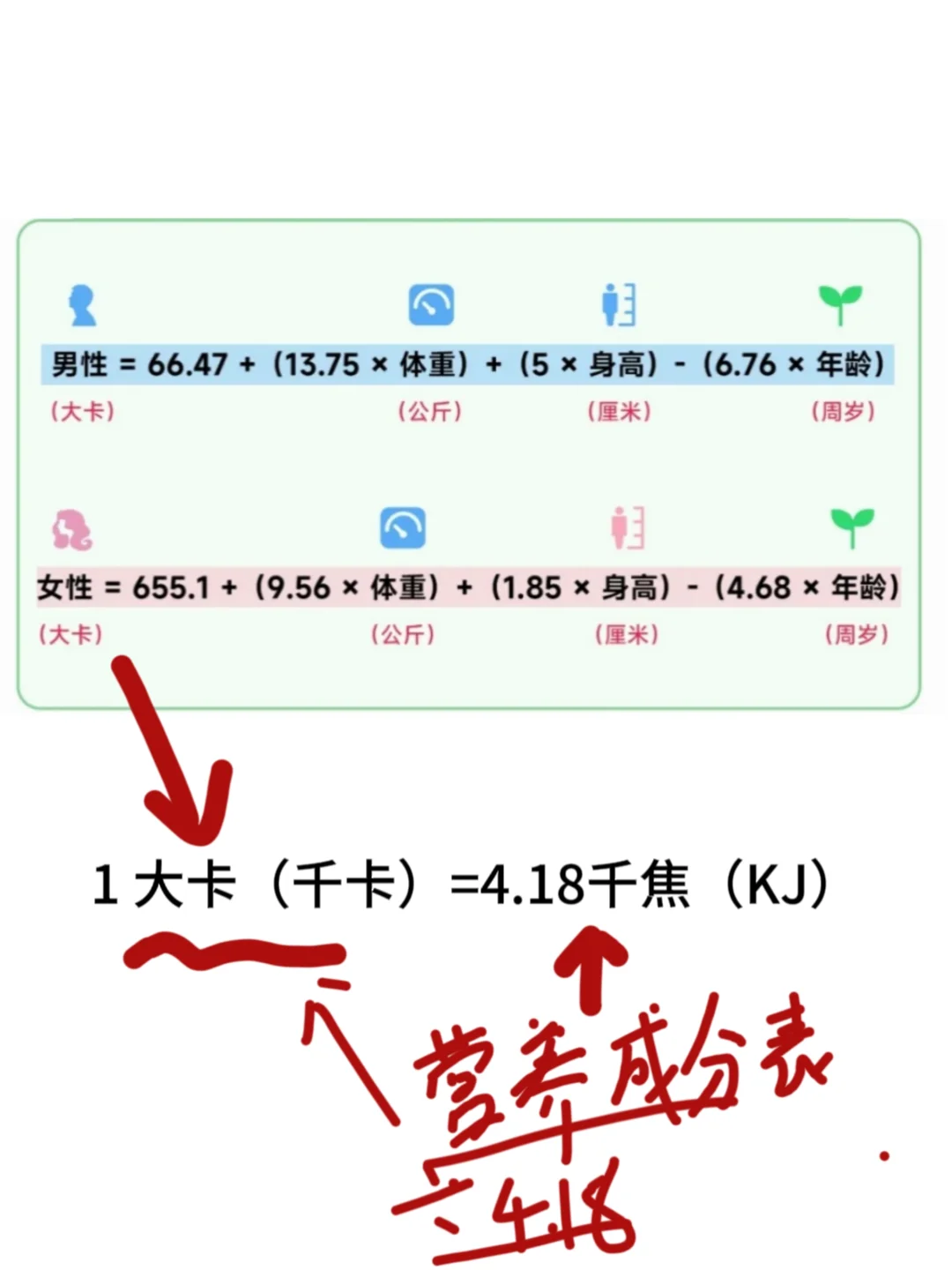 都搞错了，日常热量计算终于搞懂了！！！！