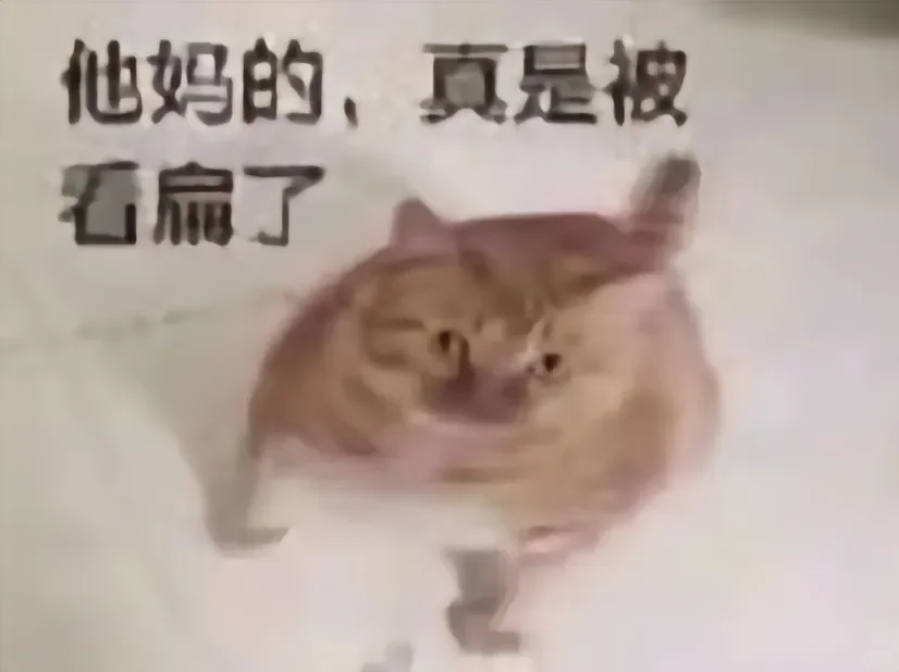 猫猫表情包来咯