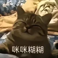 猫猫表情包来咯