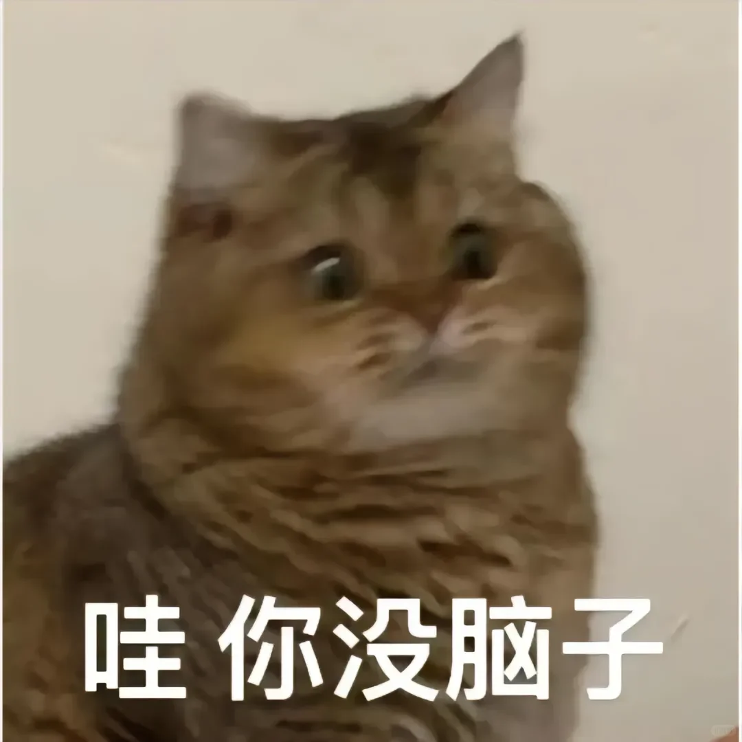 猫猫表情包来咯