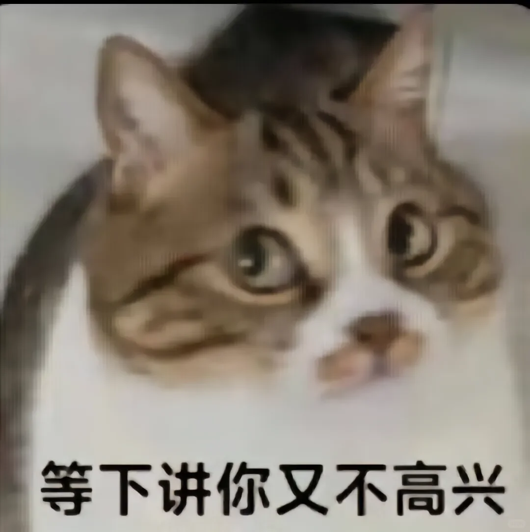 猫猫表情包来咯