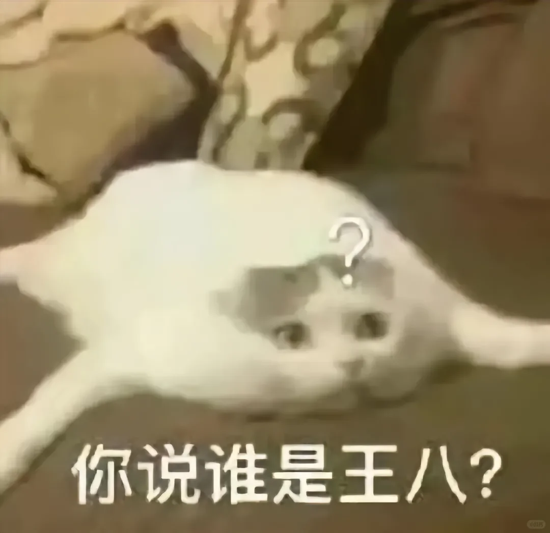 猫猫表情包来咯