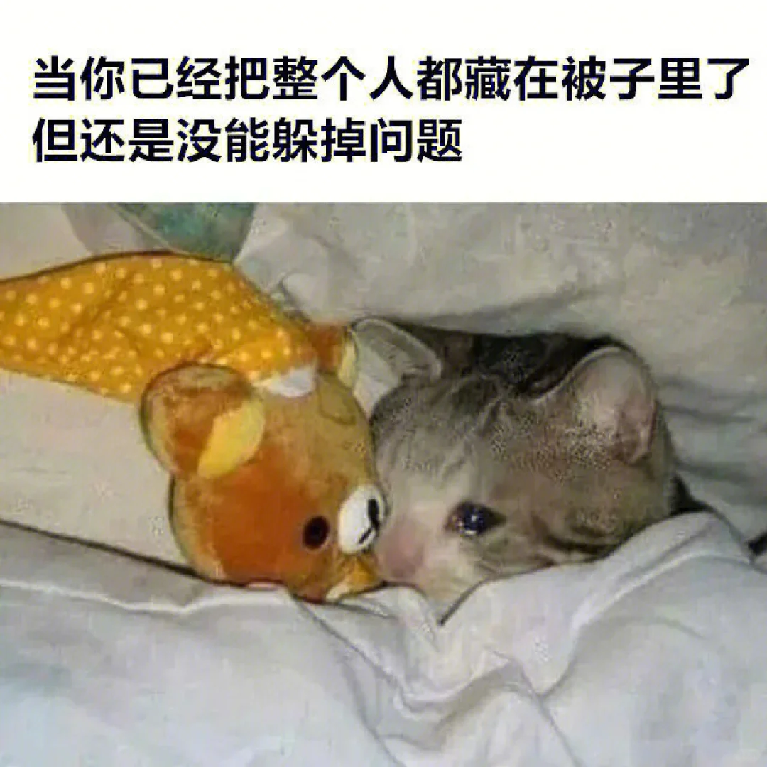 一些……的表情包