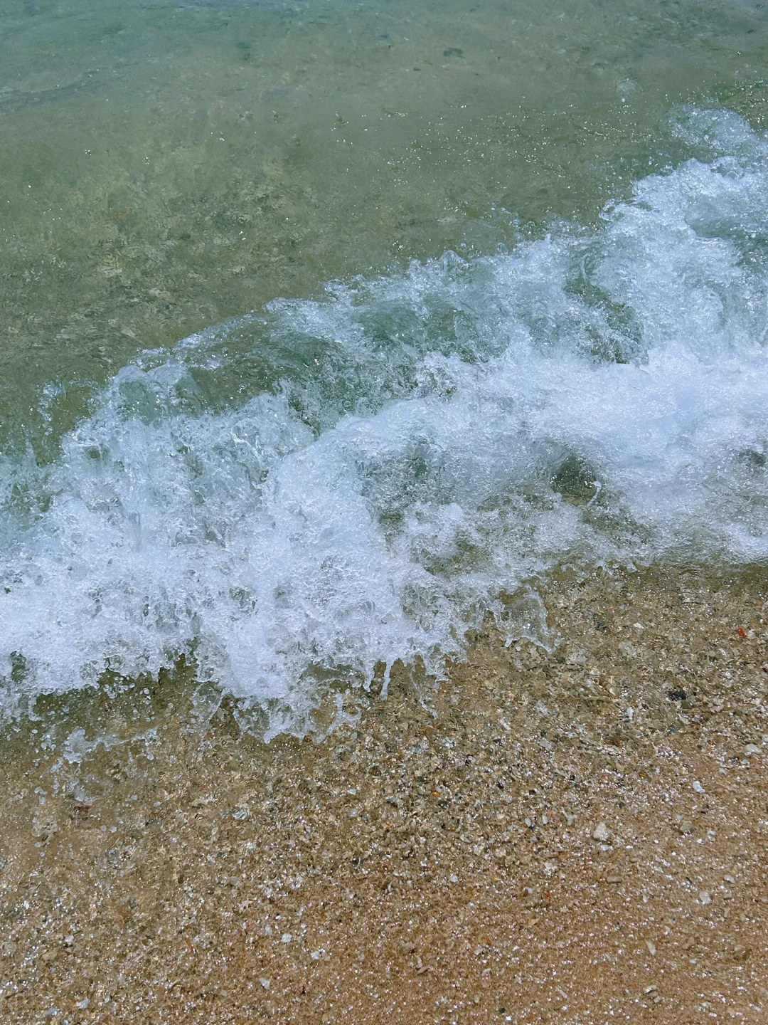 see sea 🫧🌴🌊🐟｜三亚西岛，小渔村