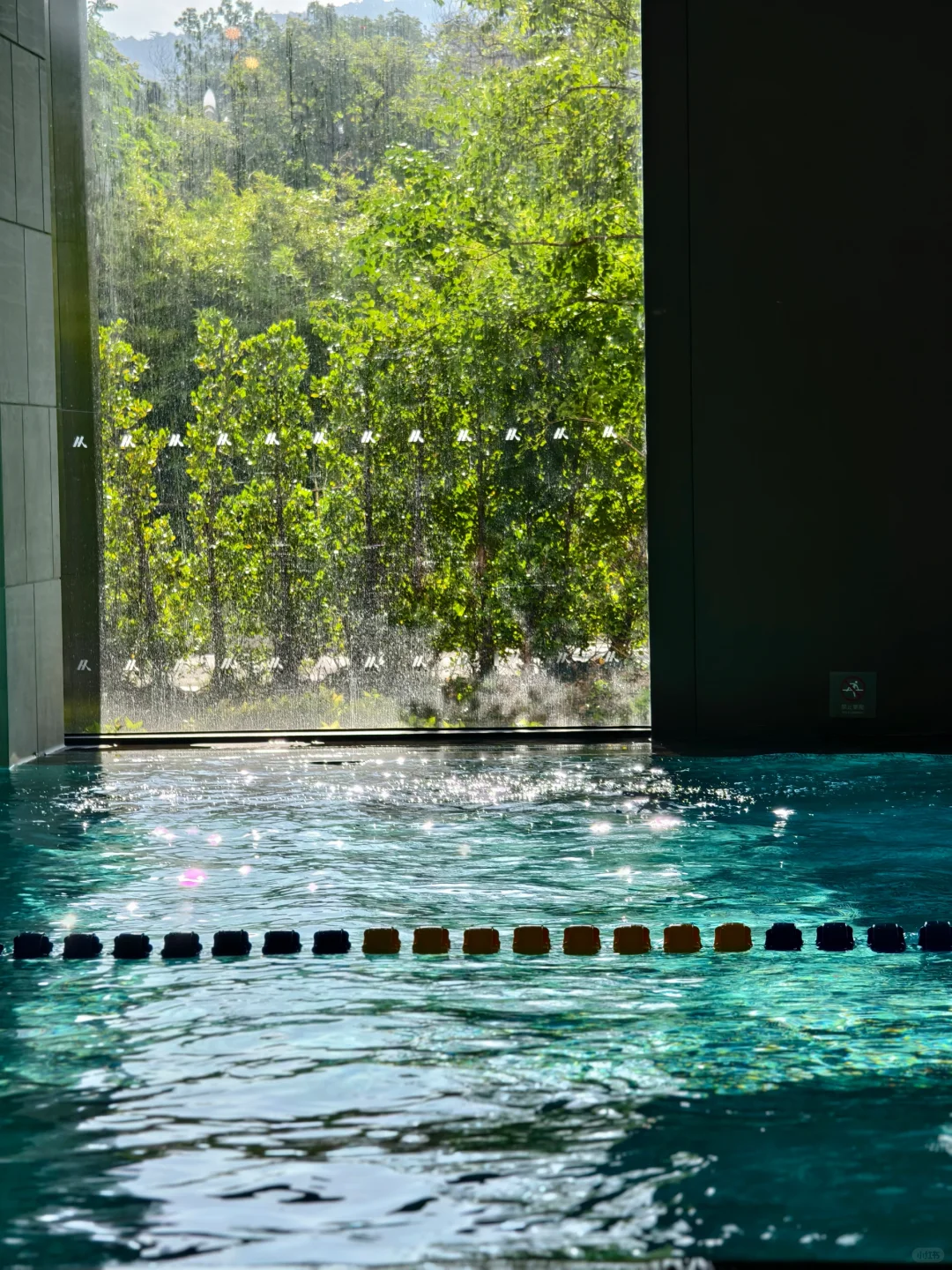 运动日常🏊谁也看不出我假期胖了多少