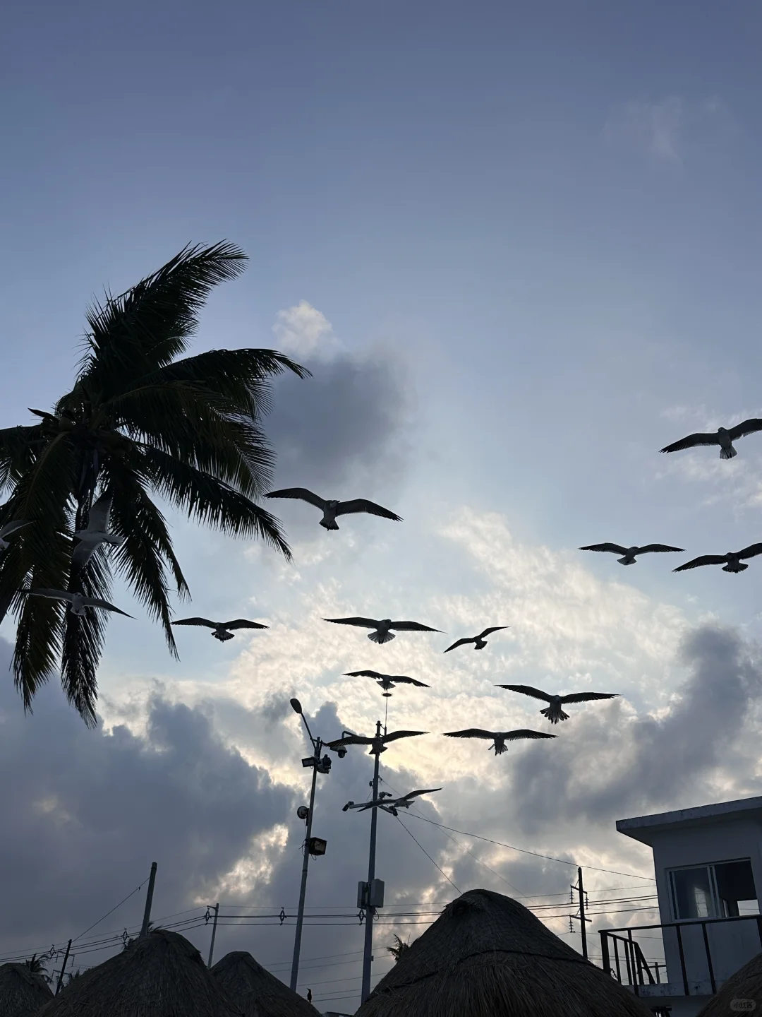 海边穿搭加拍照姿势🏝️