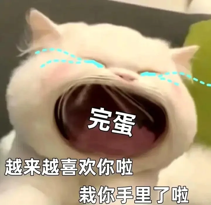 可爱猫猫，在线发sao～ 疯狂调戏勾引 ?