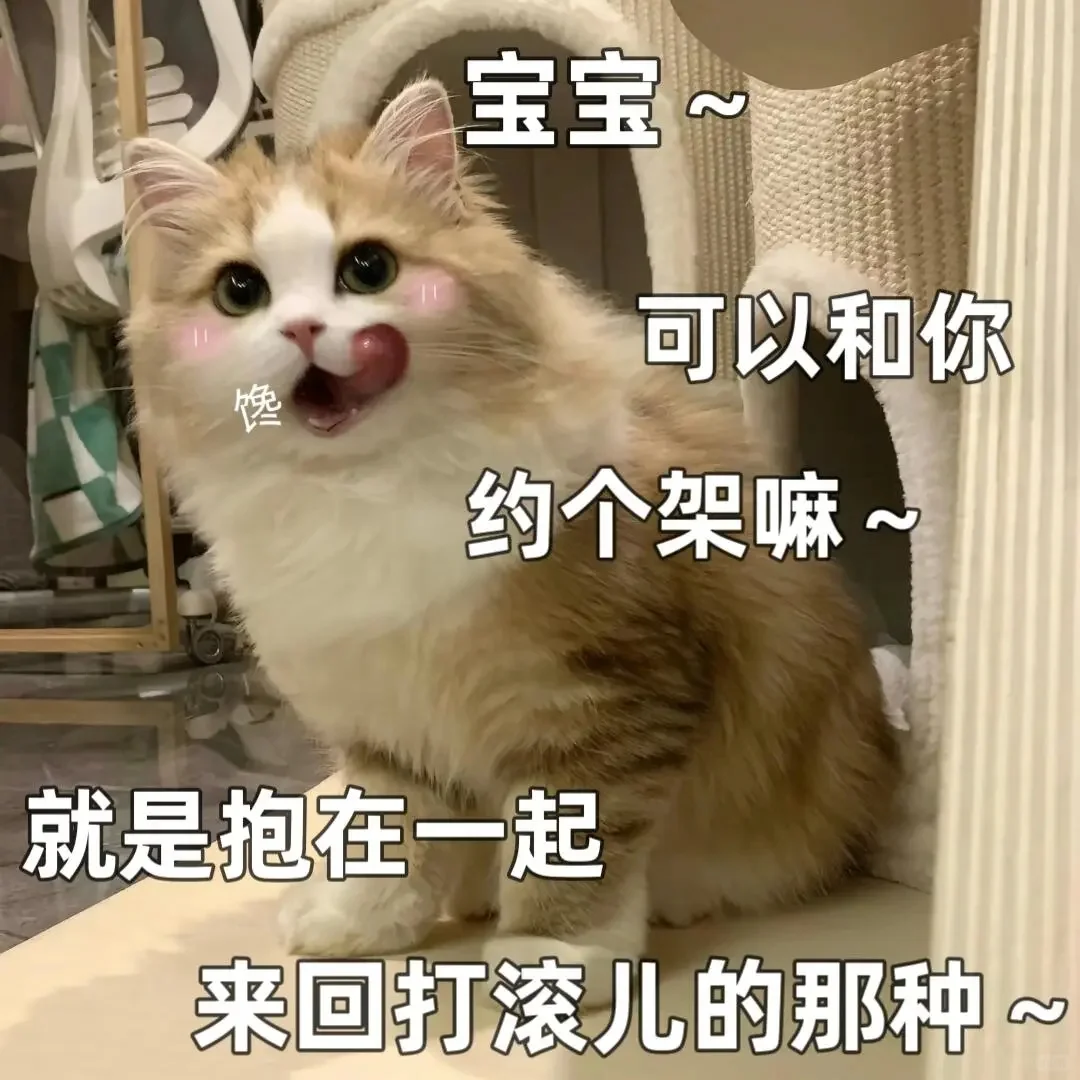 恋爱表情包🐱