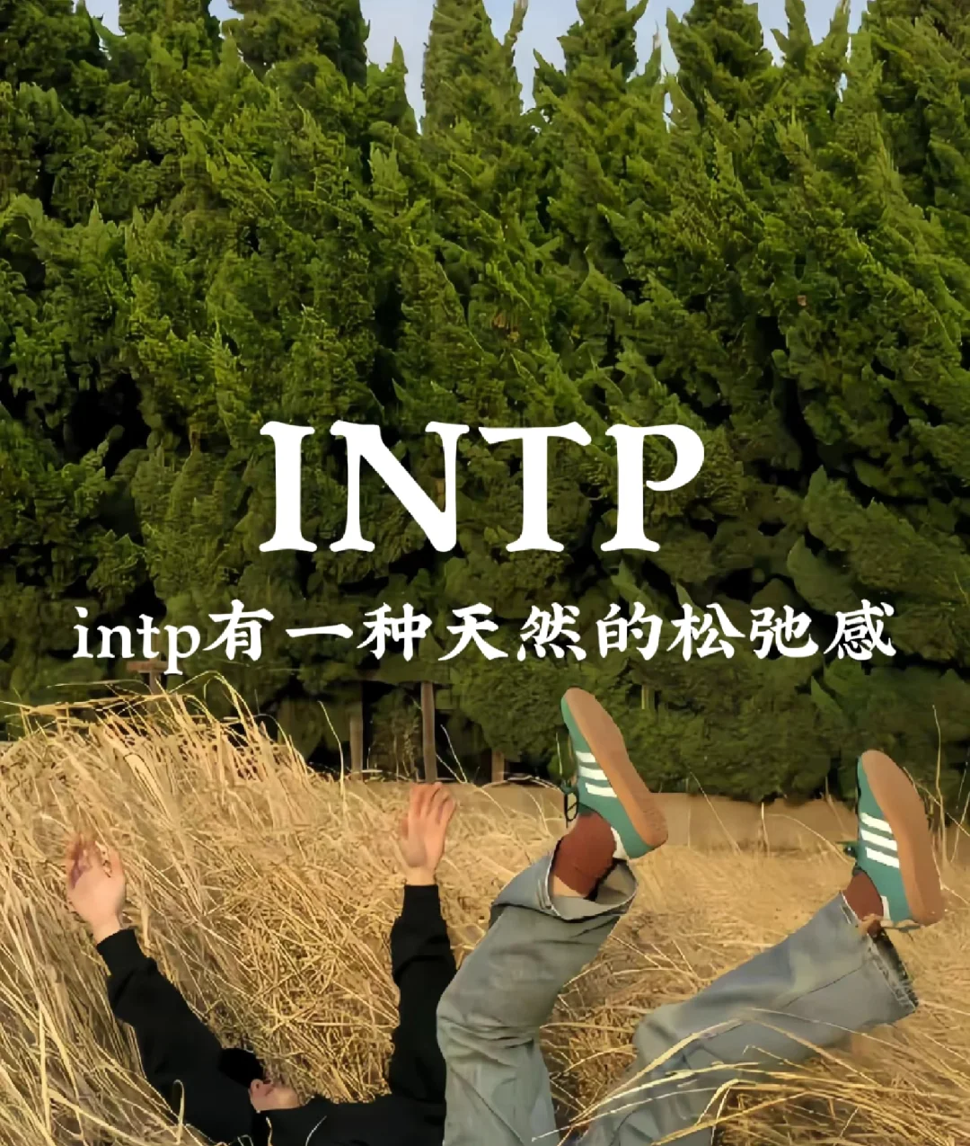 为什么INTP有一种天然的松弛感