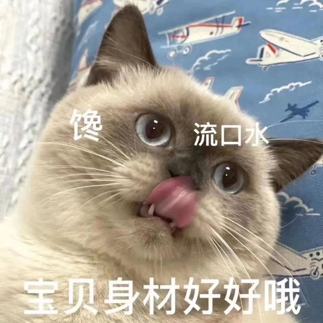 可爱猫猫，在线发sao～ 疯狂调戏勾引 ?