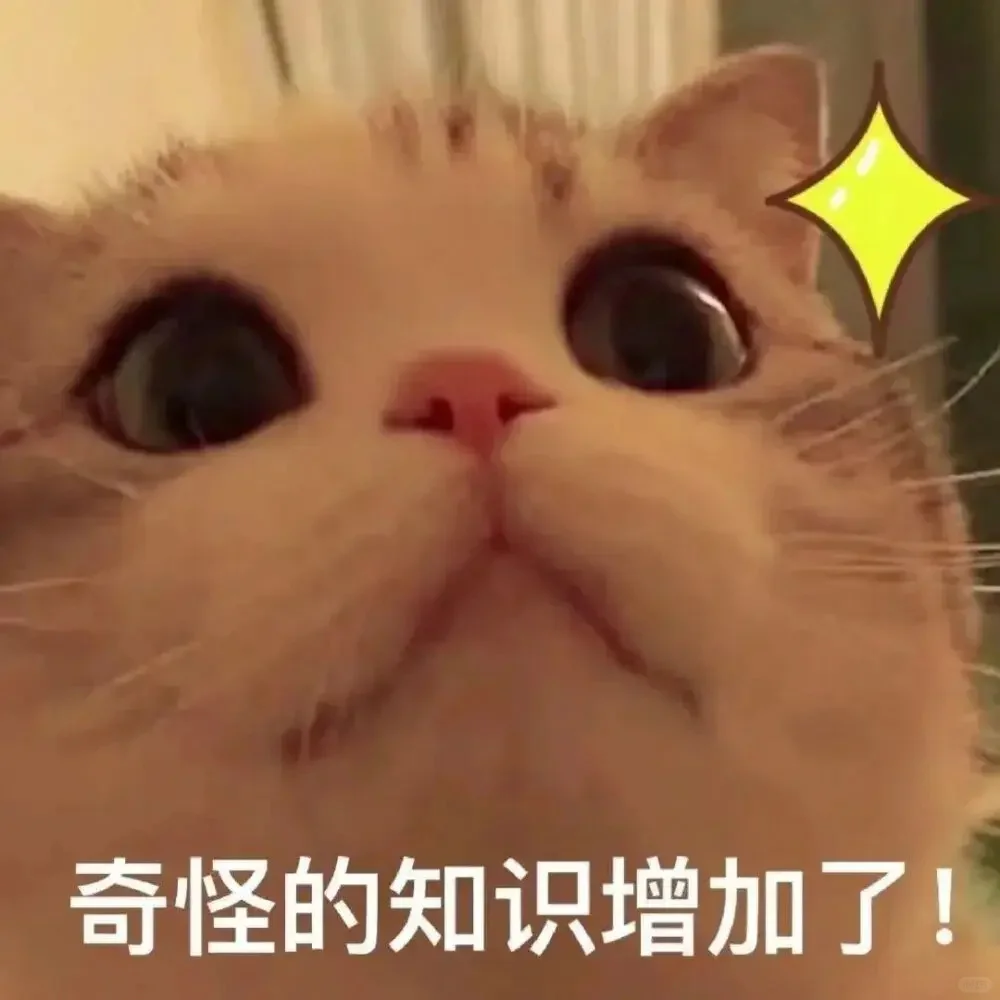 可爱猫猫，在线发sao～ 疯狂调戏勾引 ?