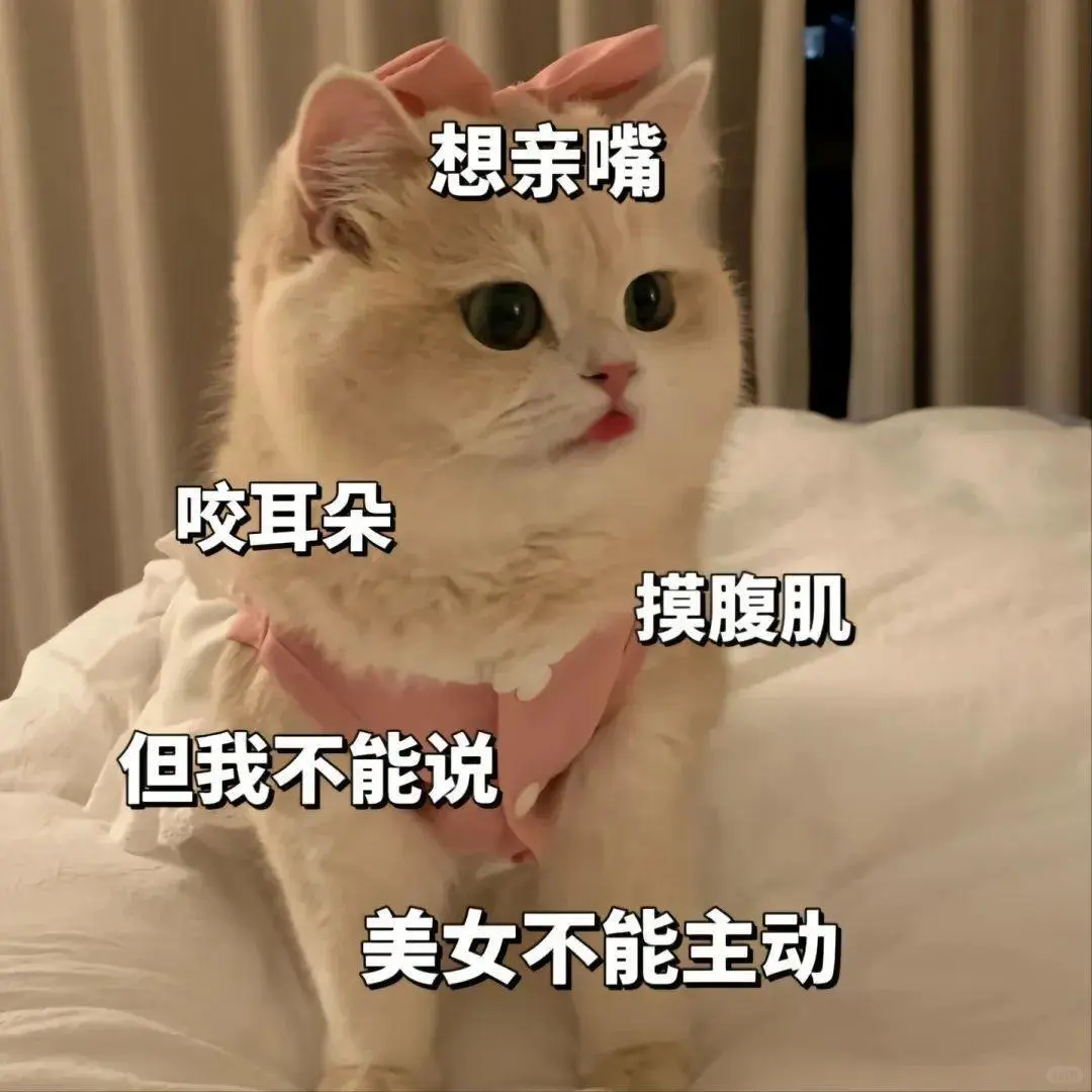 可爱猫猫，在线发sao～ 疯狂调戏勾引 ?