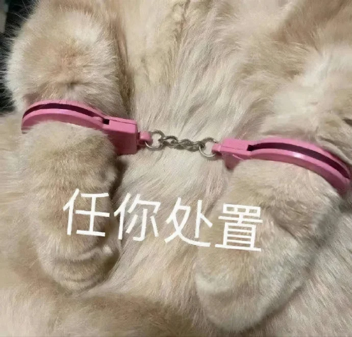 可爱猫猫，在线发sao～ 疯狂调戏勾引 ?