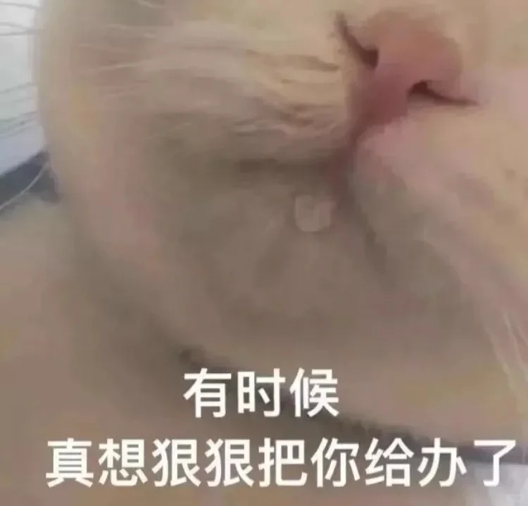 可爱猫猫，在线发sao～ 疯狂调戏勾引 ?