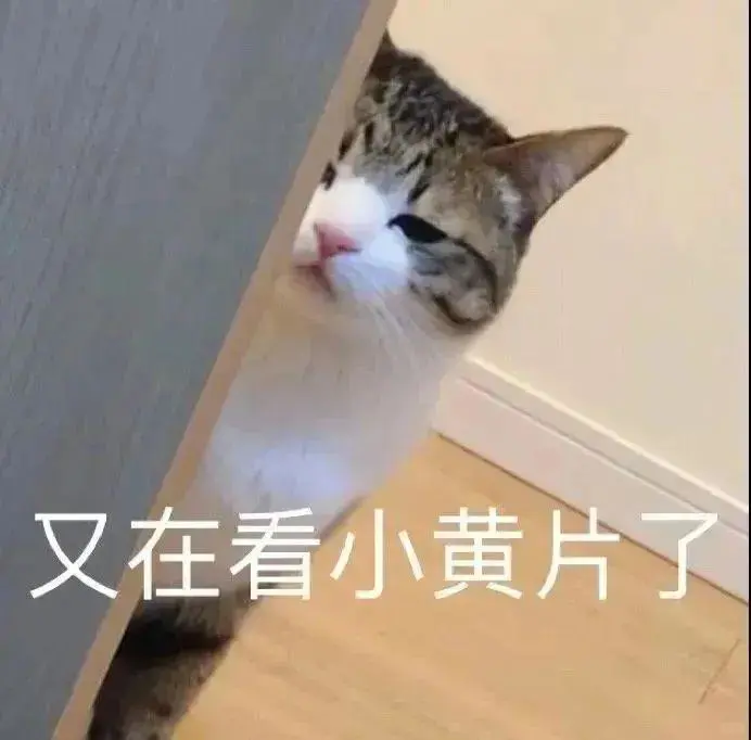 可爱猫猫，在线发sao～ 疯狂调戏勾引 ?