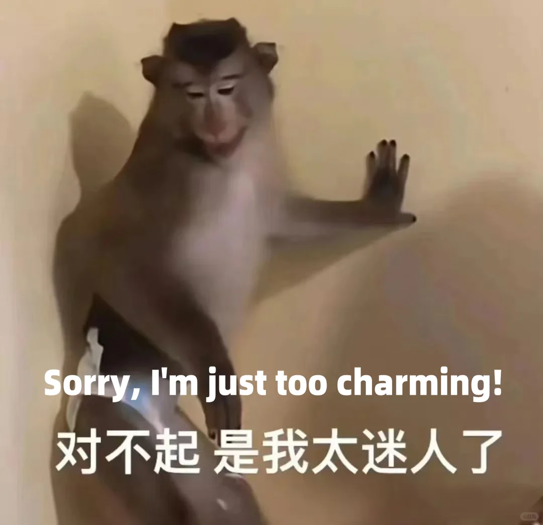 Tik Tok 难民无障碍冲浪双语表情包